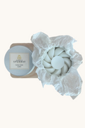 PARFUM SOLIDE FONDANT 50G SAPIN (Série limitée éphémère)